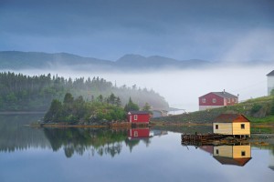 harrys harbour